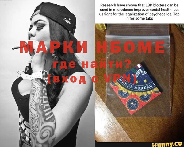 прущие грибы Пестово