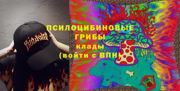 прущие грибы Пестово