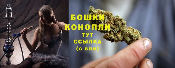 apvp Пересвет