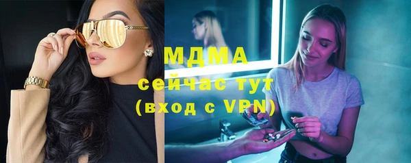 прущие грибы Пестово
