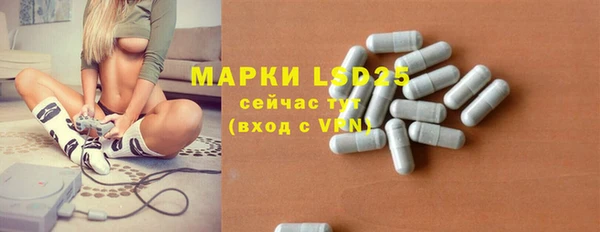 прущие грибы Пестово