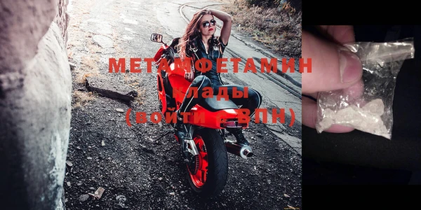 прущие грибы Пестово