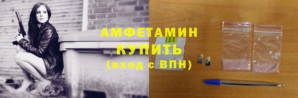 прущие грибы Пестово
