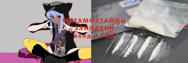прущие грибы Пестово