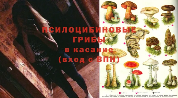 стафф Переславль-Залесский
