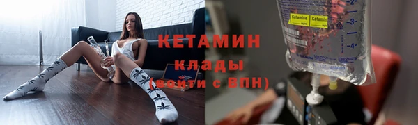 прущие грибы Пестово