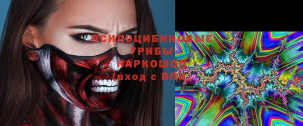 прущие грибы Пестово