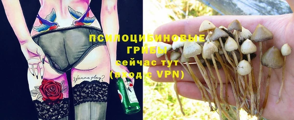 стафф Переславль-Залесский
