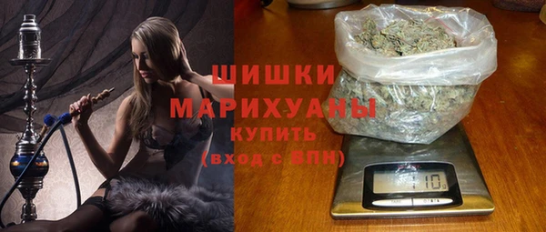прущие грибы Пестово